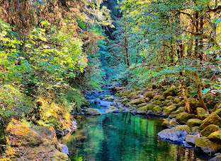 Fall Creek Trail Head